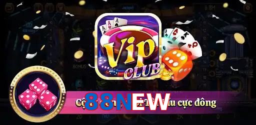 88NEW